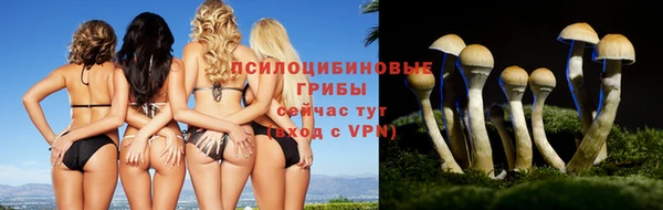 бошки Армянск