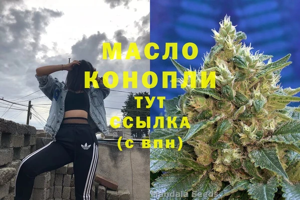 дживик Арсеньев