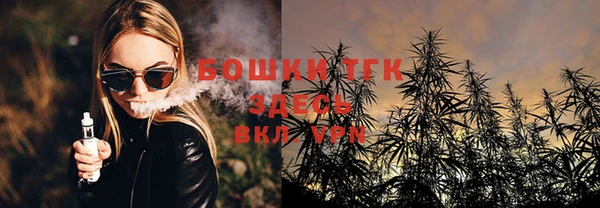Альфа ПВП Аркадак