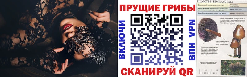 Галлюциногенные грибы Magic Shrooms  Нижняя Салда 