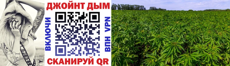Конопля планчик  MEGA сайт  Нижняя Салда  даркнет сайт 